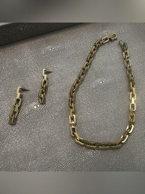 Eddie Borgo Gold Link Chain Necklace and Matching Earrings